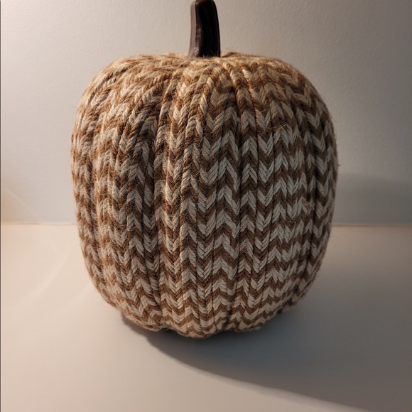 2 for $6 Fall Decor, Threshold Brand, Braided Texture Pumpkins - Picture 4 of 11